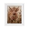 Stupell Industries Curly Haired Highland Cattle Framed Print Under Glass, design by Ashley Bradley